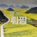 차마고원