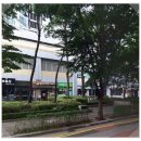 분당-393 | 정자동 분당두산위브파빌리온 임장 후기