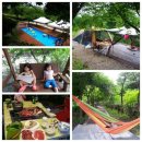 금헌힐링캠핑장 이미지