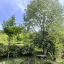 하늘길쉼터민박 이미지