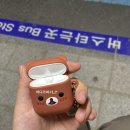 준코-포항죽도점 이미지