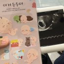 바코드펜션D 이미지