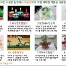 성지체험농원 네이버블로그
