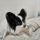 (주)덴탈하우스 이미지