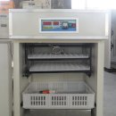 PARROT KOREA 이미지