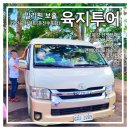 둘만농장 | 보홀여행 ] 육지투어 - 12인승 차렌트 로복강선상뷔페 나비농장 맨메이드포레스트 타르시어원숭이 초콜릿힐