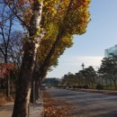 화랑 노래연습장 이미지