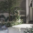 베니르 - 16470 | 베니르