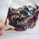 WALWAL(왈왈) 이미지