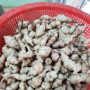 강원도 횡성군 횡성읍 읍상서로 이미지