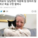 냥냥펀치