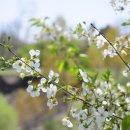 경희제일한의원 이미지