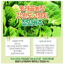 오래골농장 이미지