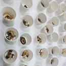 주식회사 세종에너지 | 코엑스에서 열린 2025 푸드위크 배터지게 먹고 오기 feat.찡