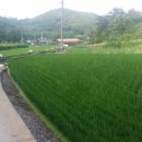 부림공인중개사사무소 이미지