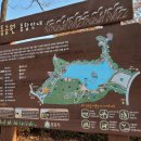 주식회사 율동