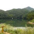 여주-0636 Daum카페