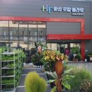 하나로플라워 이미지