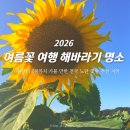 동호농장 | 전국 해바라기 명소 2026 당일치기 여름꽃 여행 6월부터 8월까지 가볼 만한 노란 꽃밭 추천지역