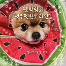(주)브로강 | 2026 청주 펫친소 사전등록 및 라인업