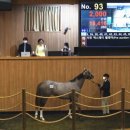 부마목장 이미지