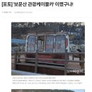 [포토] '보문산 관광케이블카' 이랬구나! 이미지