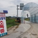파주양돈단지(3) 중앙일보