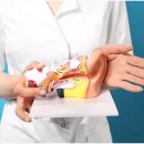 보청기마트 이미지