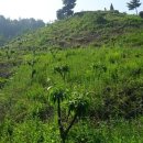 대보농장 이미지