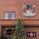 오렌지 | 수원 베이글 맛집 크리스마스 대형 카페 오렌지 베이글 후기