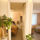 여미하다 이미지