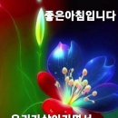 참좋은이웃 이미지