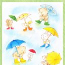 고운스킨 이미지