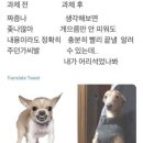 제로썸 이미지