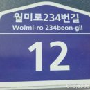 블루마린 관광호텔 이미지