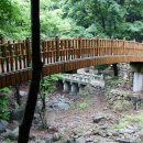 오천상회