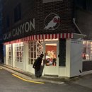 플레이트17 | 크로우캐년X키티 쇼룸 구매, 1개가 5개가 된 소비.., 키티 머그잔, 키티 플레이트 (재고, 프리오더, 할인)