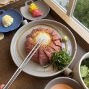 요술옷장