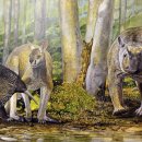 Pacific BUBBLES 이미지