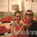 사각사각사과