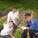 고천농장 이미지