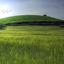 사시사철-풍요 이미지