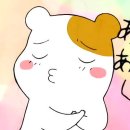 히어앤나우