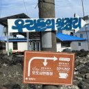 우리들의월정리