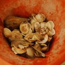 대천해수욕장 해동횟집 이미지