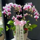 이성호세무회계사무소 네이버블로그