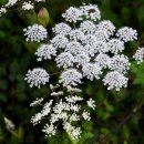 덕유산자연휴양림 이미지