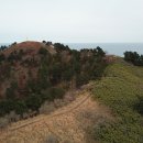 비양도 민박 이미지