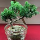 다울랭아트 네이버블로그