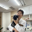 열린동물병원 | 동대문동물병원 강아지 초콜릿 중독 빠른 판단이 생명을 좌우합니다.